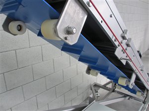 Mobiele opvoerband - uitstorthoogte 196-230 cm