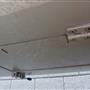 Bandtransporteur